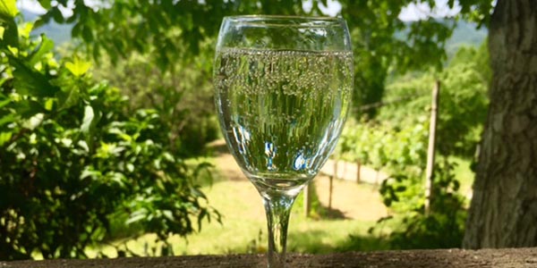 Živjeli! - Gradec, Varaždinske Toplice