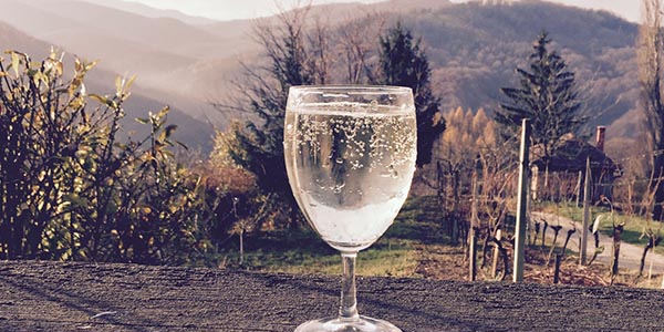 Rajnski rizling - Gradec