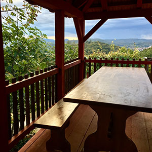 Pogled s terase - Gradec