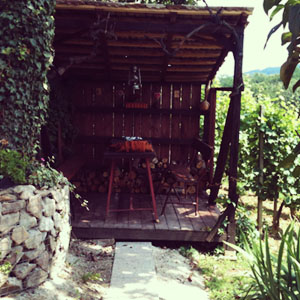 Terasa u vinogradu Gradec - Varaždinske Toplice