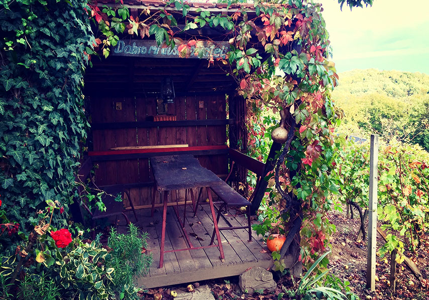 OPG Dario Horvat - Dugogodišnja obiteljska tradicija